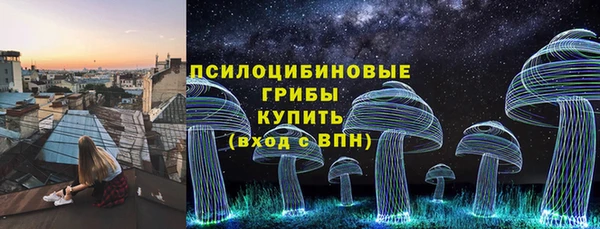 PSILOCYBIN Баксан